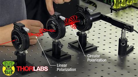 thorlabs polarizers